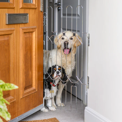 DOG-G5 Doors Gate