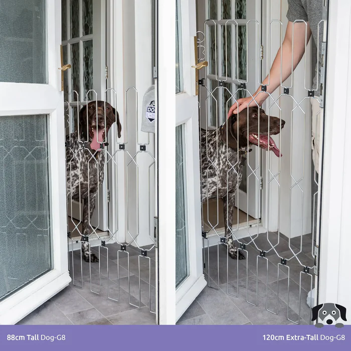 DOG-G5 Doors Gate