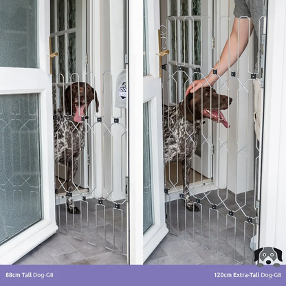 DOG-G5 Doors Gate