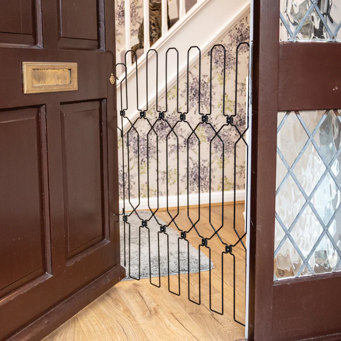DOG-G5 Doors Gate