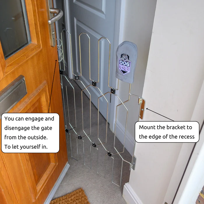 DOG-G5 Doors Gate
