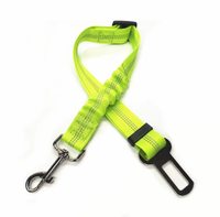 Neon Green