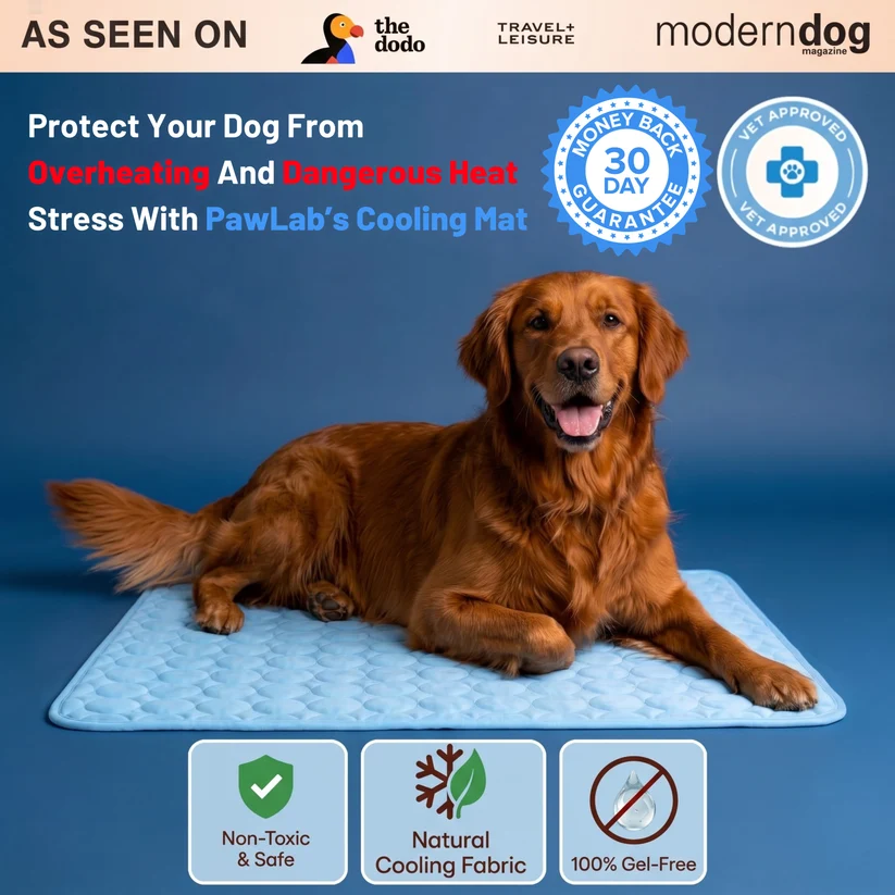 PawLab Cooling Mat