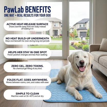PawLab Cooling Mat
