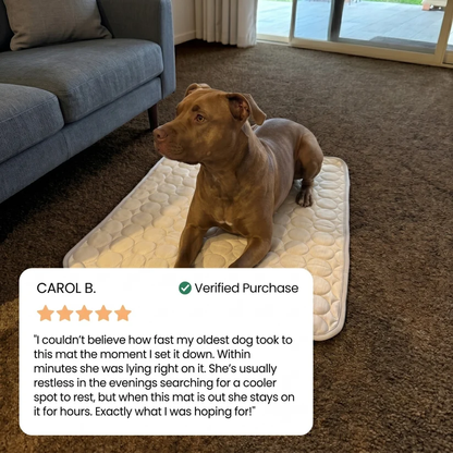 PawLab Cooling Mat