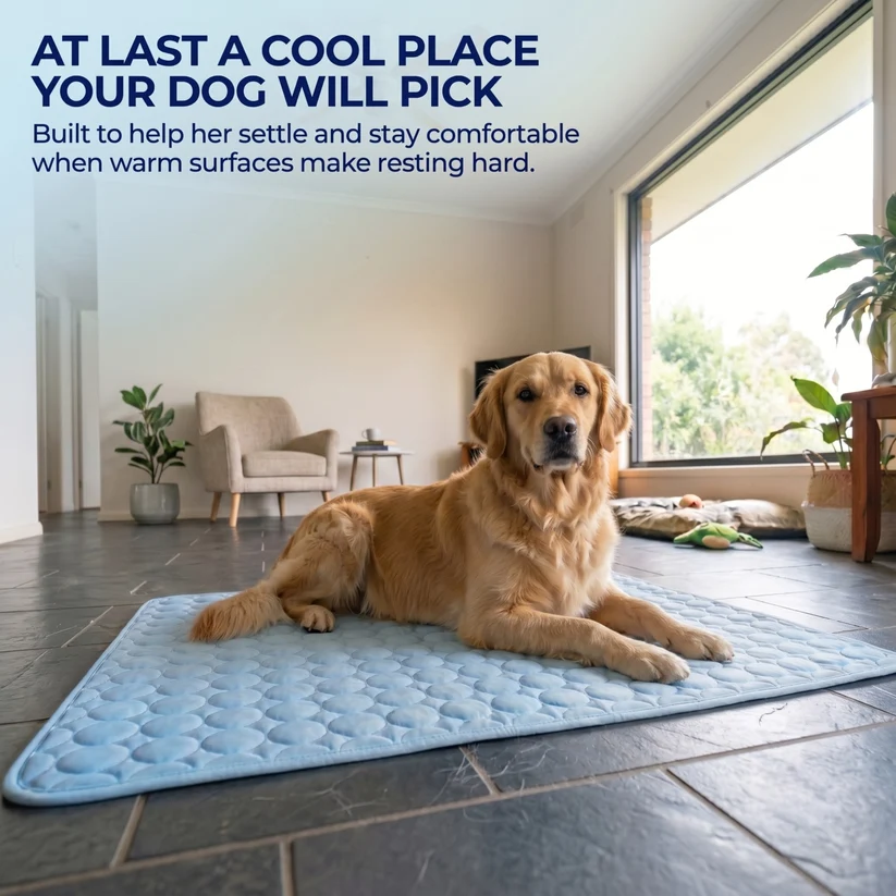 PawLab Cooling Mat