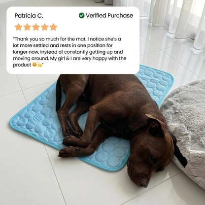 PawLab Cooling Mat